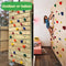 32Pcs DIY Kids Rock Climbing Wall Holds Grips