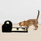 Rex Rolling Paw Cat Scratcher (Pre-Order) - 4aPet
