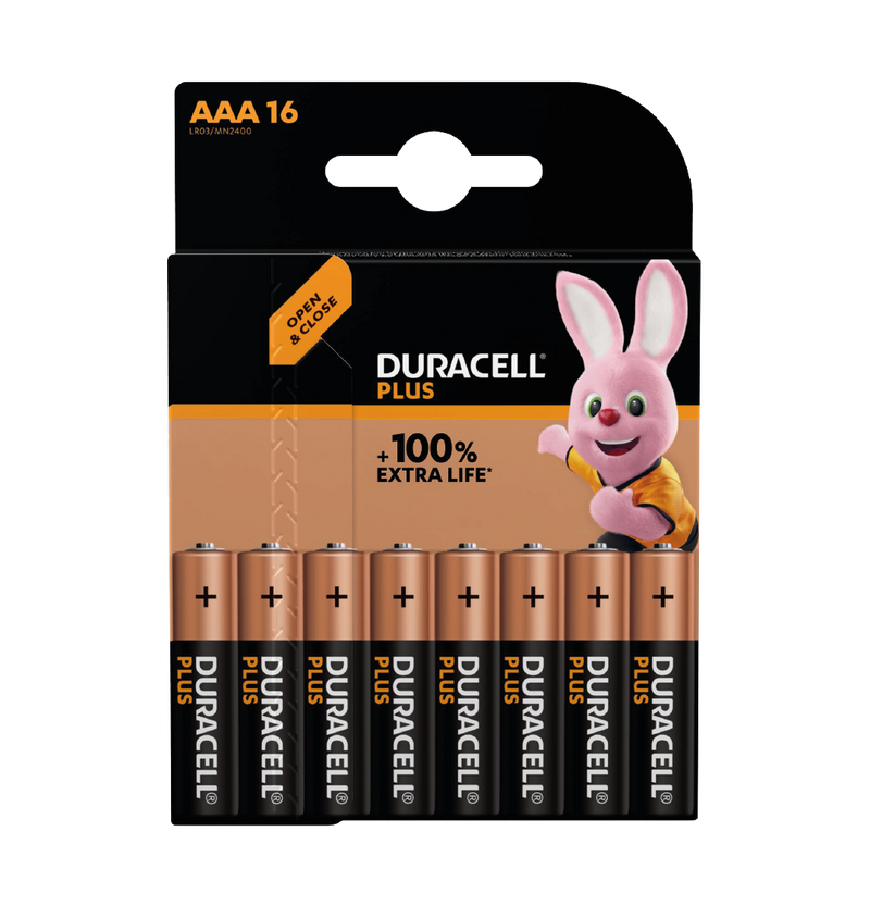16 x AAA Plus Batteries