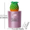 Pineapple Shaped Multifunctional Portable 130ml USB Humidifier Air Purifier Mist Maker