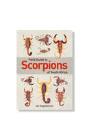 Field Guide Scorpions of South Africa by Ian Engelbrecht