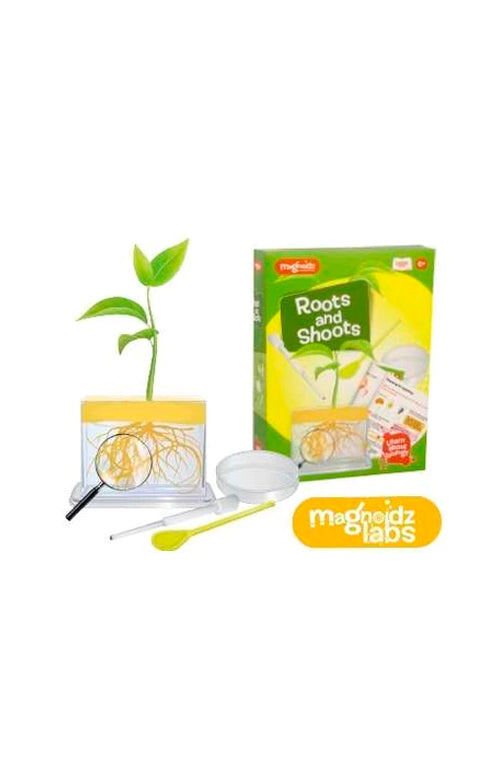 Magnoidz Roots and Shoots Science Kit