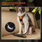 Pet Seatbelt Leash Safety Car Lead