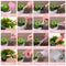 16Pcs Succulent Mini Garden Planting Hand Tools Set