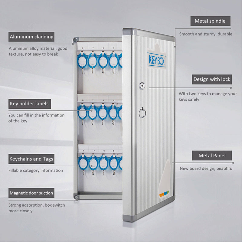 48 Keys Wall Mounted Cabinet