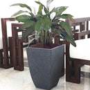 Imitation Cement Square Tall Pot Planter