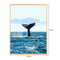 Paint by Numbers Acrylic Painting DIY Kit - Whale (Clearing Item)