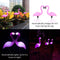 Waterproof Solar Flamingo Garden LED Lights - 3Pack