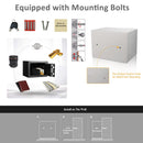 Small Digital Safe with Keypad & Keys