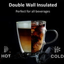 Double Wall Insulated Glass Mugs 310ml - Set of 6