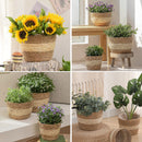 Handwoven Flower Basket Planter 3PCs Set