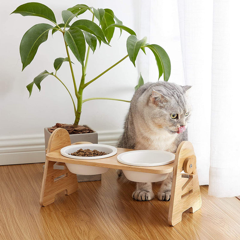 Elevated Pet Bowl Set