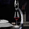 Wine Pourer Quick Decanter Aerator Set