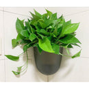 Wall Corner Self Watering Flowerpot Planter- 2 pcs