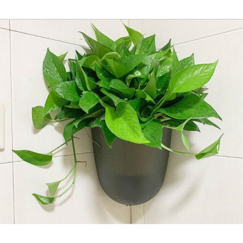 Wall Corner Self Watering Flowerpot Planter- 2 pcs