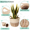 Woven Decorative Flower Plant Basket Set - 2 Piece