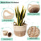 Woven Decorative Flower Plant Basket Set - 2 Piece