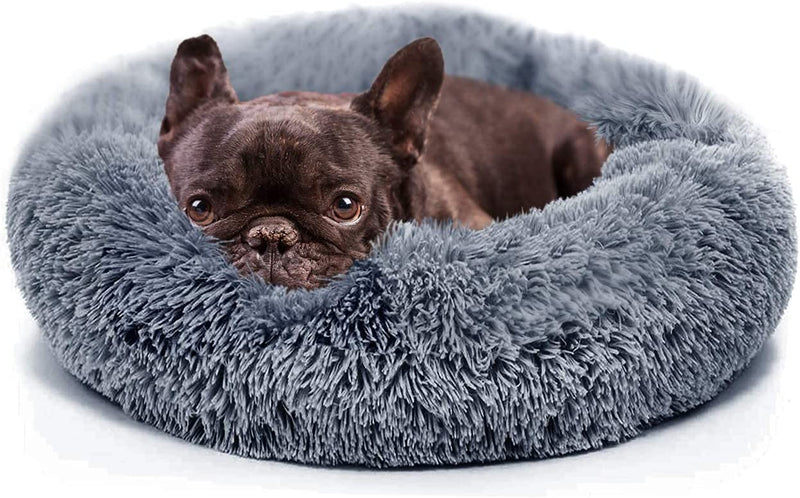 Small Snuggly Pet Bed