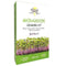 My Growing Health MicroGreen Kit - Beetroot (Pre-Order)